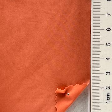 99999 Pale Orange