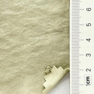 13 Pale Green