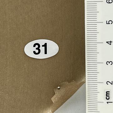31 Camel