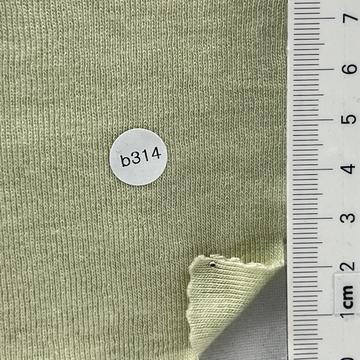 구b314 Pale Green