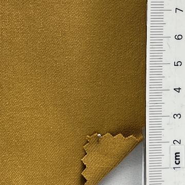 13 Camel