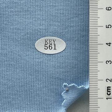 561 Pale Blue