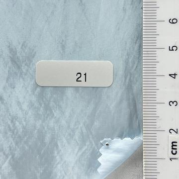21 Pale Blue