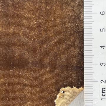 5 Camel