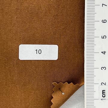10 Camel