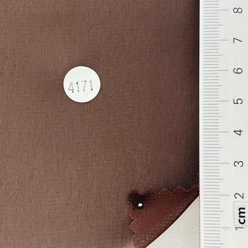 4171 Brown