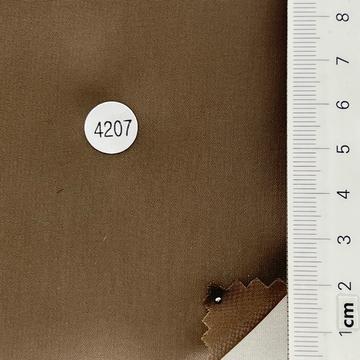 4207 Brown