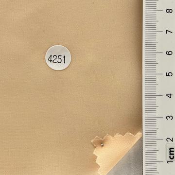 4251 Pale Orange