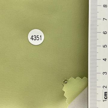 4351 Pale Green