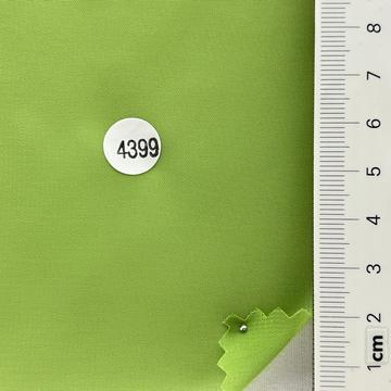 4399 Pale Green