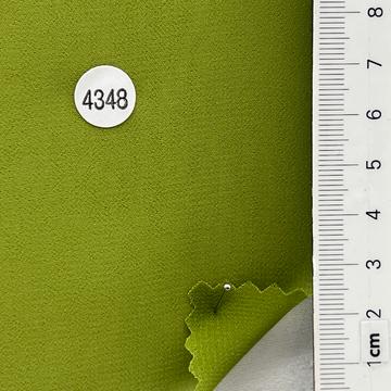 4348 Pale Green
