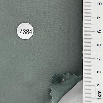 4384 Pale Green