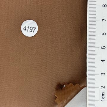 4197 Brown