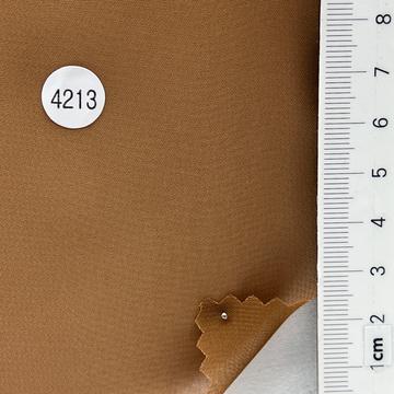 4213 Camel
