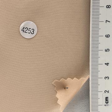 4253 Pale Orange