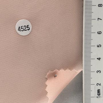 4525 Pale Orange