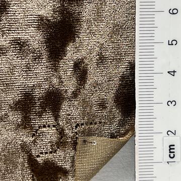 25 Camel