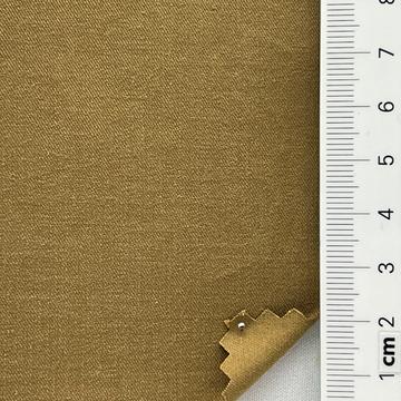 29 Camel