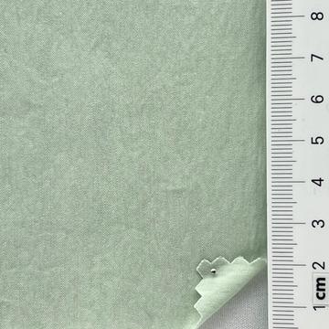 18 Pale Green