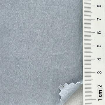 21 Pale Blue