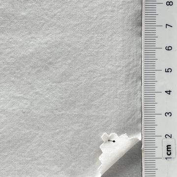 99999 Ivory