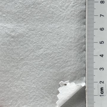 99999 Ivory