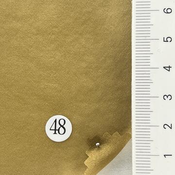 48 Camel