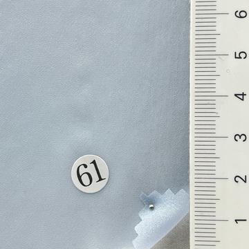 61 Pale Blue