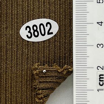 3802 Camel
