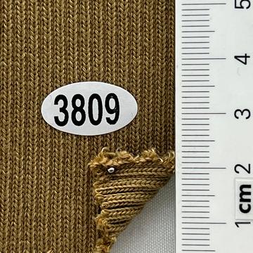 3809 Camel