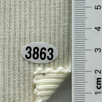 3863 Ivory