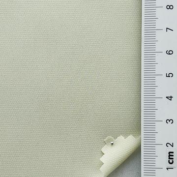 SW C#25 Pale Green