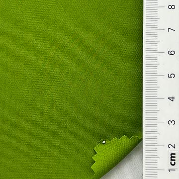 SW C#41 Green