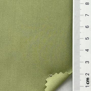 SW C#52 Pale Green