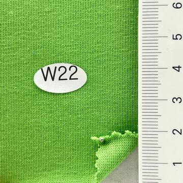 W22 Pale Green