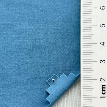 19 Pale Blue