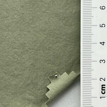 48 Pale Green