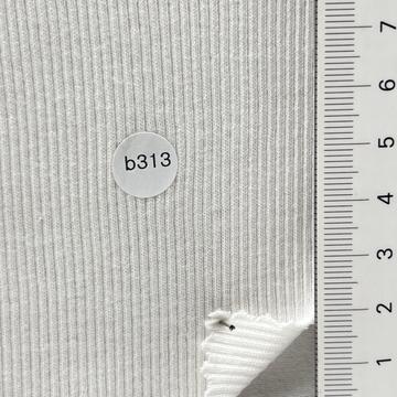 b313(13) White