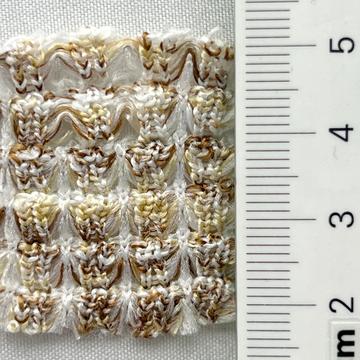 12 Beige