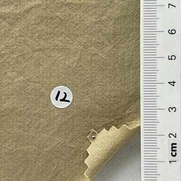 베이지 Beige