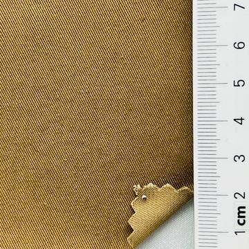 99999 Camel