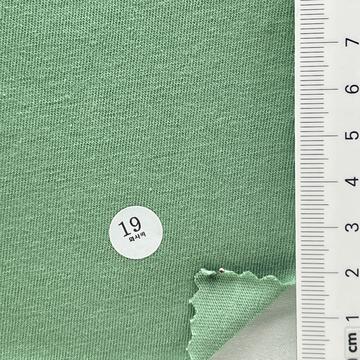 19 Pale Green