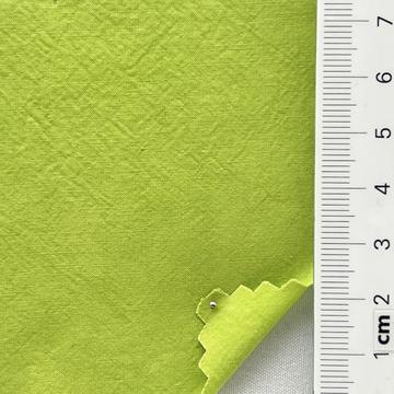 8 Pale Green