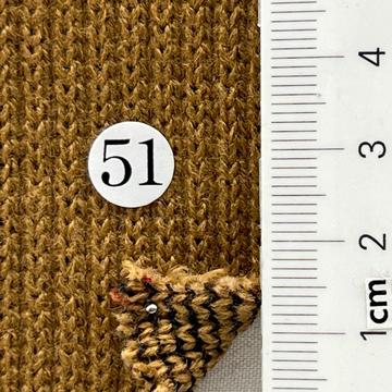 51 Camel