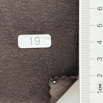 219 (b319) (19) Brown