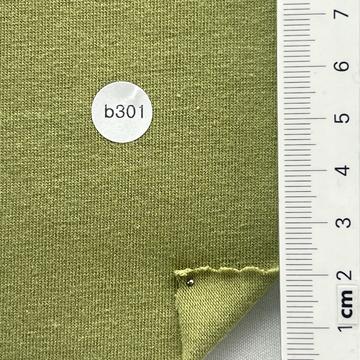 b301(201) Pale Green