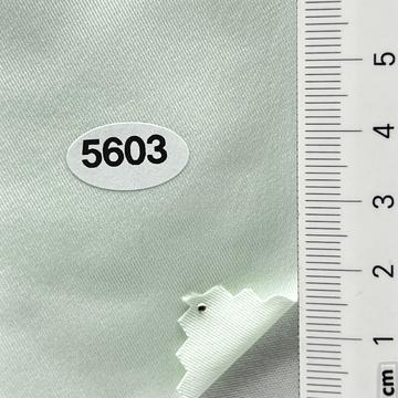 5603 Turquoise