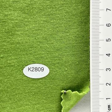 2809 Green