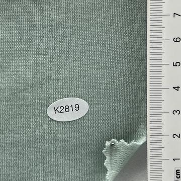 2819 Turquoise