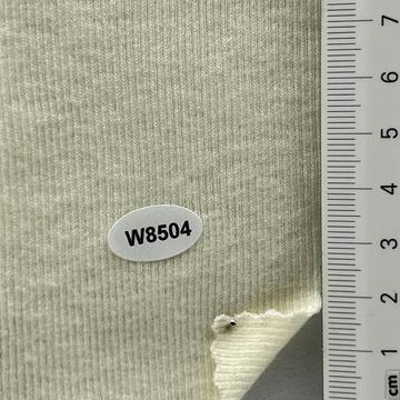 8504 Ivory